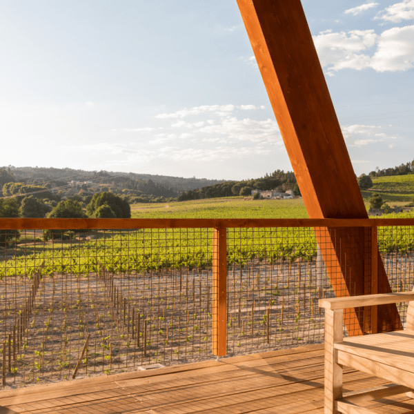 Quinta da Taboadella Adega